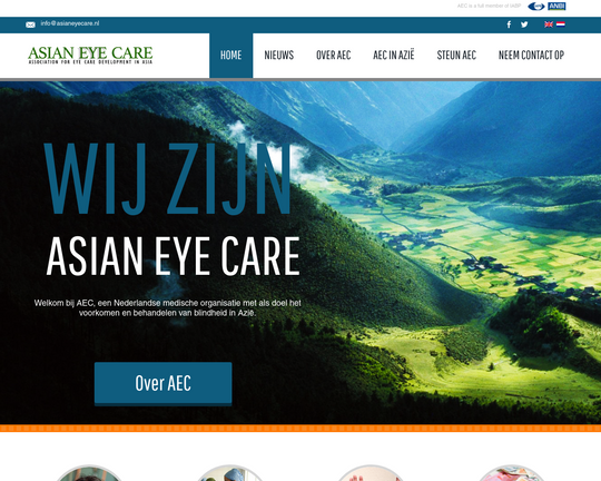 Asian Eye Care Logo